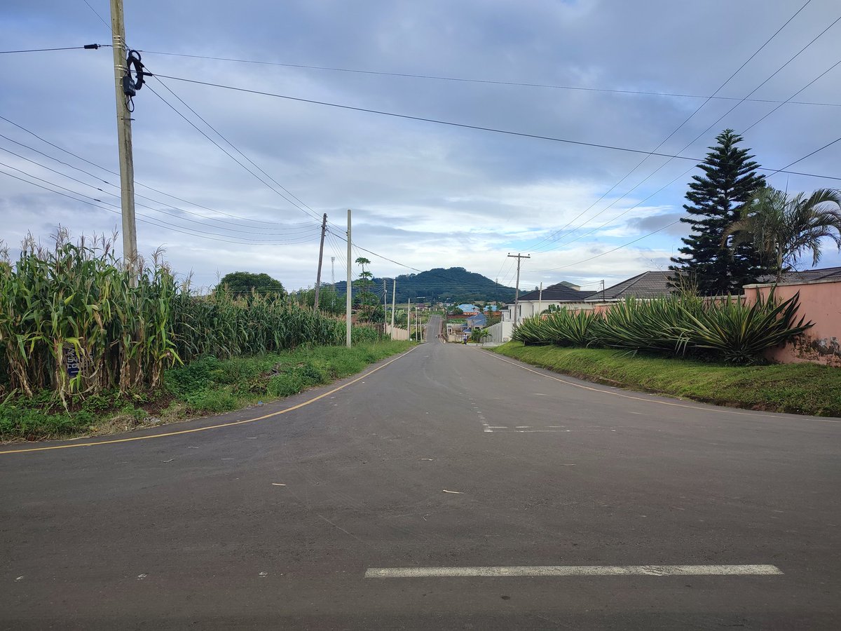 kpol22's tweet photo. #BTviews
Chimanga
#Blantyre
The sunshine is brighter ... We will rise again! https://t.co/nXXXYFgLeA