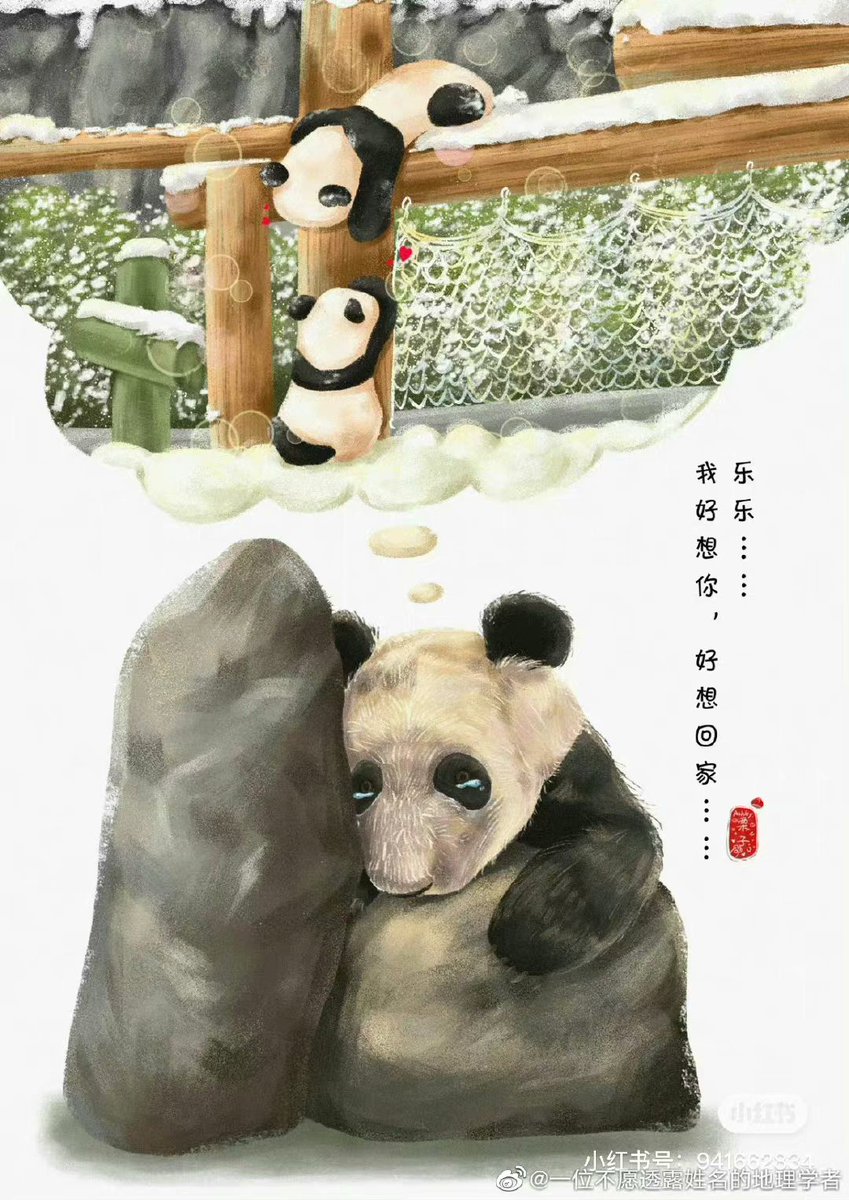 hhanglism's tweet photo. #memphiszoo 
#YAYA
We all like to see beautiful things, will make us happy. But what if the cutie gets treated like this? This is Ya Ya, a panda at the Washington Zoo in the US, who has been subjected to extreme treatment. Please forward the appeal to help it! thankuu❤️🥺
#panda https://t.co/54jicSeRhy