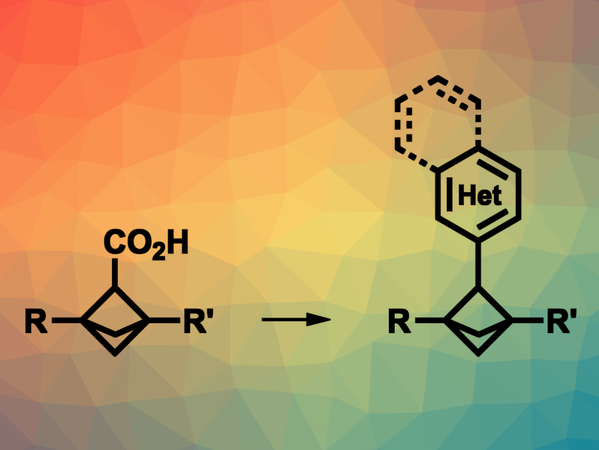 ChemistryViews's tweet photo. Bridge Heteroarylation of Bicyclo[1.1.1]pentanes: Decarboxylative Minisci heteroarylations under hypervalent iodine activation https://t.co/vbNqI0eeZo https://t.co/hyHUF97Mcd
