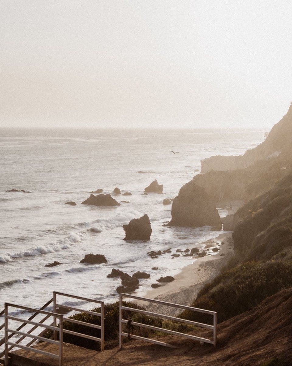 betsymossonline's tweet photo. Save the date 3.22 #SS23 https://t.co/PkWDhQJ3W4