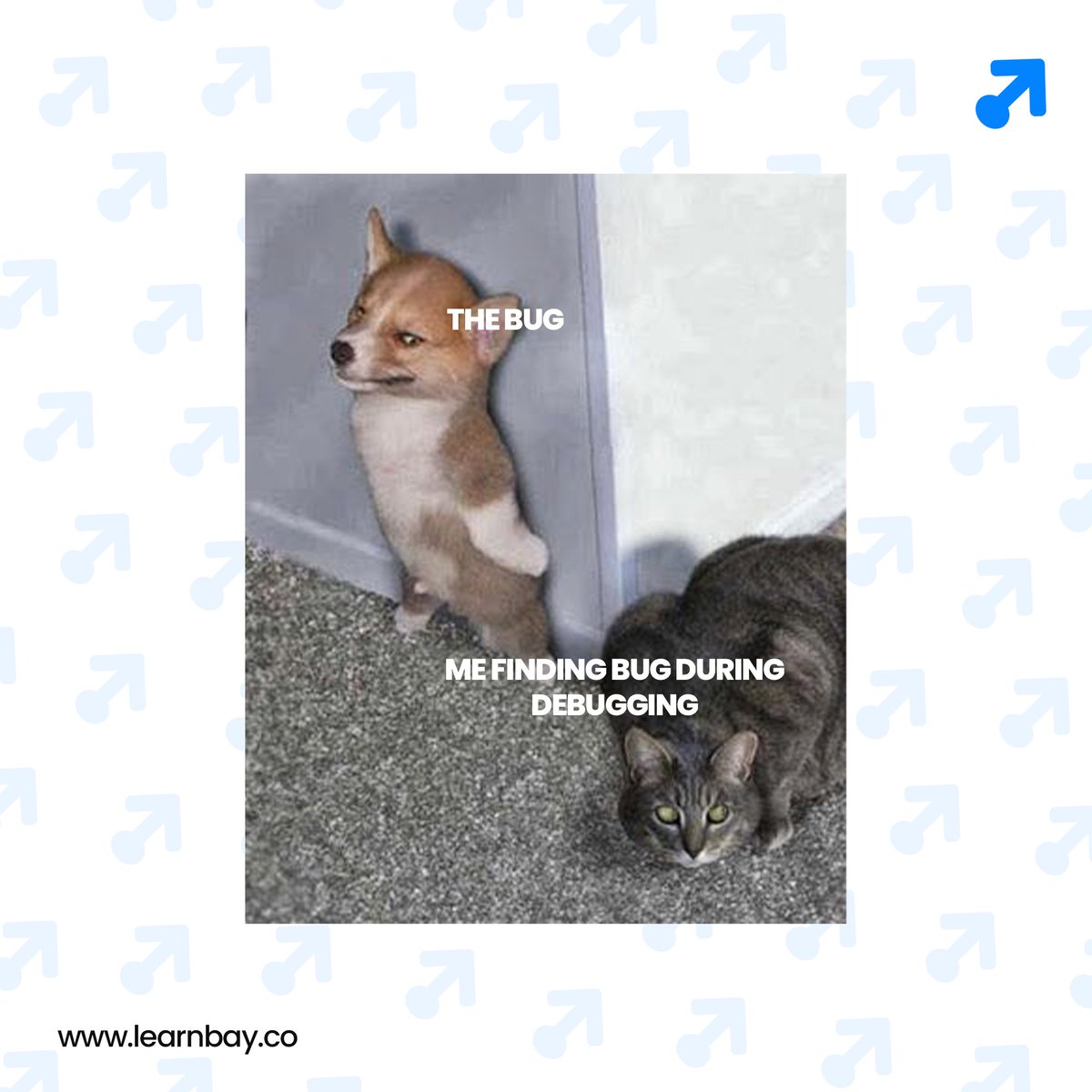 Learnbay's tweet photo. No matter how many bugs you fix, there's always one more waiting to be found. π΅οΈββοΈπ
πFollow us @Learnbay
#debuggingstruggles #learnbay #bugs #coderslife #developerslife #dailymemes #bugfix #coders https://t.co/QTKEHf2E5R