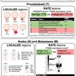 Photo by Boris Hadaschik (@ProfHadaschik)