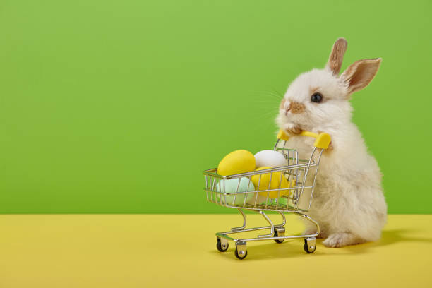 Gntgraphics's tweet photo. 89% of #consumers will #shop with
a #competitor after a poor #userexperience.
Is your #onlinestore #uptoscratch?
HOP TO IT https://t.co/G71M5xXSek
#WebsiteDevelopment #GraphicDesign #eCommerce
#Branding #SEO #Hosting #SocialMediaMarketing https://t.co/kiR6yGOtCs