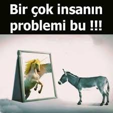 Bazen bazı insanlara söylemek istediğim tam da bu