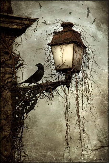 by Arthur Rackham