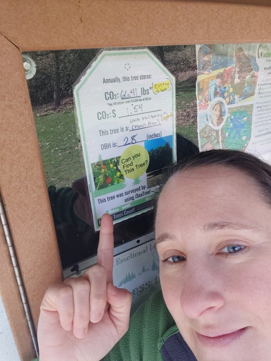 TreeMamaSEA's tweet image. Hey! I&apos;m trying to collect &apos;Tree Tag Selfies&apos; for the &apos;#InternationalDayofForests&apos;.  

Can you help???

It is simple:

1) Download #iSeaTree V4 treemama.org/the-tech-treeh…

2) Print this : treemama.org/create-a-tree-…

3) Post &amp;amp; snap a pic! DM it here! 

#gischat #trees #urbanforests