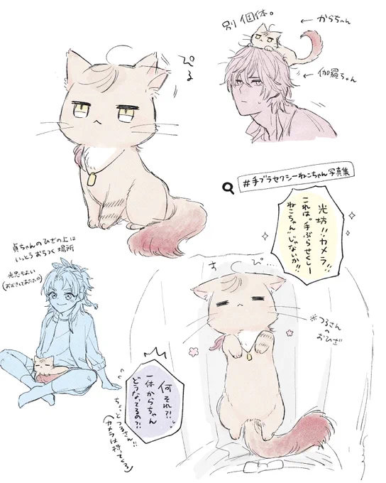🐱 