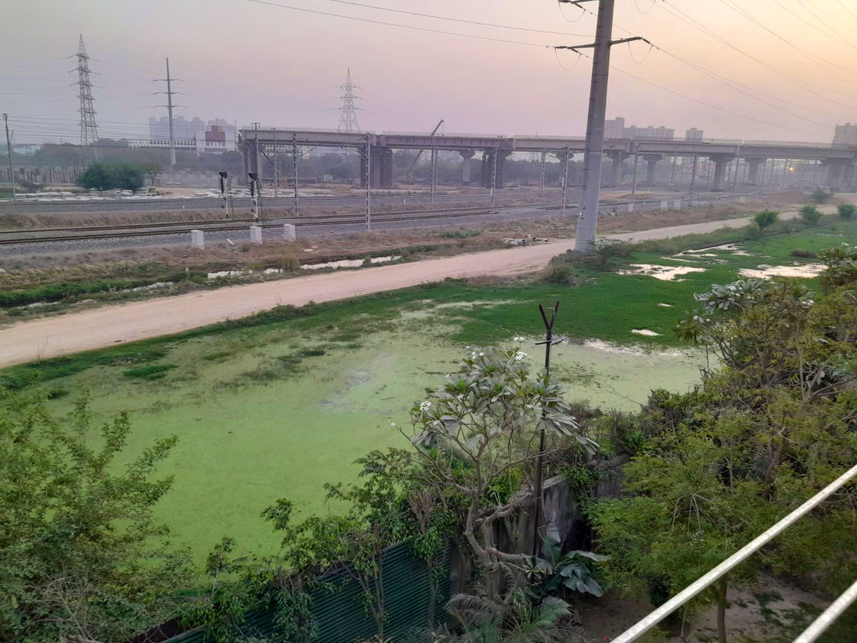 Sarpanch_Rajpur's tweet photo. Paramount Golfforeste, site c, Greater Noida
‘नाम बड़े और दर्शन छोटे’ वाली कहावत पर बिलकुल सटीक साबित होता है। यहाँ के सभी निवासी परेशान है क्यूँकि पूरी सॉसायटी का सीवर मलवा पम्प द्वारा बाहर छोड़कर लोगों के जीवन को नर्क बनाने वाले @para_golforeste बिल्डर ने कोई कमी नहीं छोड़ी। सुनवाई के नाम पर घूमाना ही इनका काम बन कर रह गया है। इनके ख़िलाफ़ शिकायत करने पर UPSIDC के ExEn तथा JE द्वारा आज मौक़े की जाँच हुई जिसमें पैरामाउंट को नीचा देखना पड़ा। इतने बड़े बिल्डर को सॉसायटी बनाने से पहले कम से कम सीवर की व्यवस्था तो सही रखनी चाहिये थी। अब इस समस्या का पक्का समाधान किया जाएगा के आश्वासन के साथ हमसे कुछ दिन का समय माँगा गया है।
सहयोग करने के लिए ACO UPSIDC @iaspremprakash सर का धन्यवाद, उम्मीद करते है हमारी मदद होगी इस समस्या का पुख़्ता समाधान किया जाएगा। 🙏🏻

@arvindkumar_ias @navneetsehgal3 @para_golforeste @dfccil_india @ANI @upeidaofficial @CeoNoida @OfficialGNIDA @TOINoida