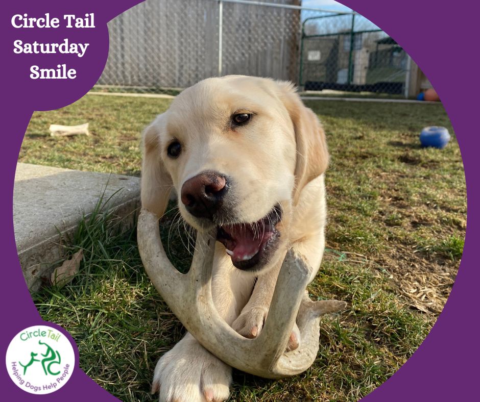 Circle Tail, Inc. tweet media