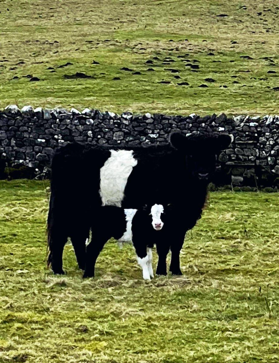 This isn’t meant to happen?! 🤷‍♂️