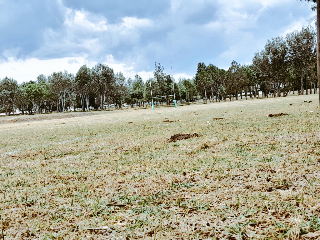 Commeth the hour. Commeth the Team.

GAMEDAY🌝