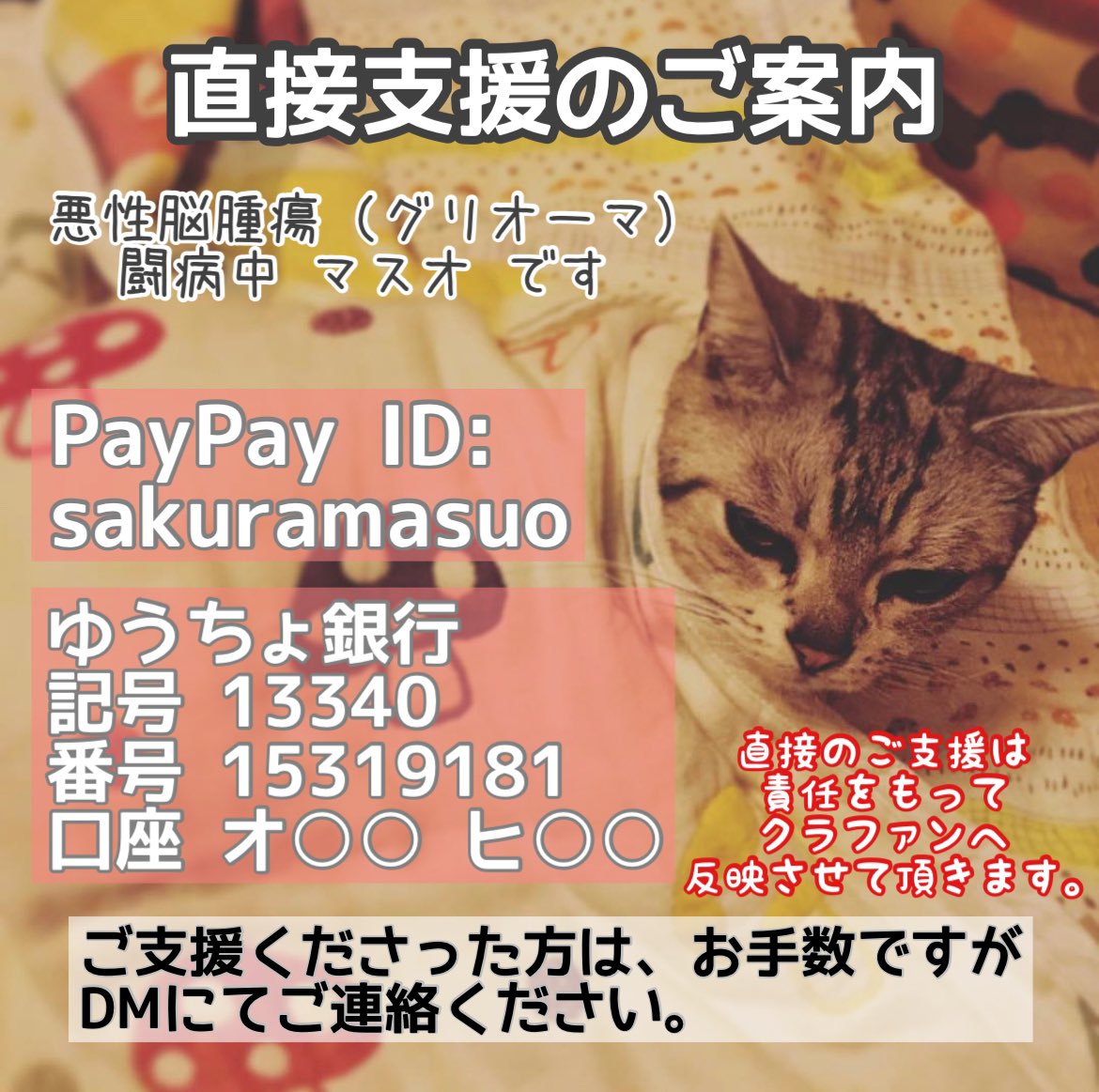 haruto_kaede's tweet photo. #拡散希望
悪性脳腫瘍(グリオーマ)闘病中のマスオくん@hiiii51026131 
手術・放射線治療と高額治療をしており、ご支援を募っています

クラウドファンディング
https://t.co/ggJhWuJSCu

直接のご支援も可能です⬇️ https://t.co/L6ffLxkB1m