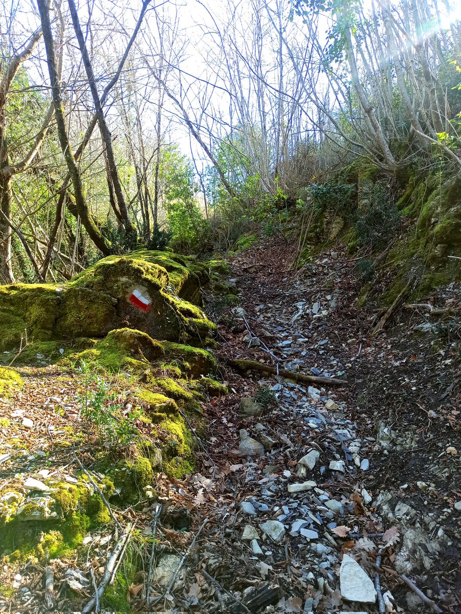 Elaversee's tweet photo. #Peace #Trekking #Photography #Stopthink https://t.co/V1FRUB72Dz