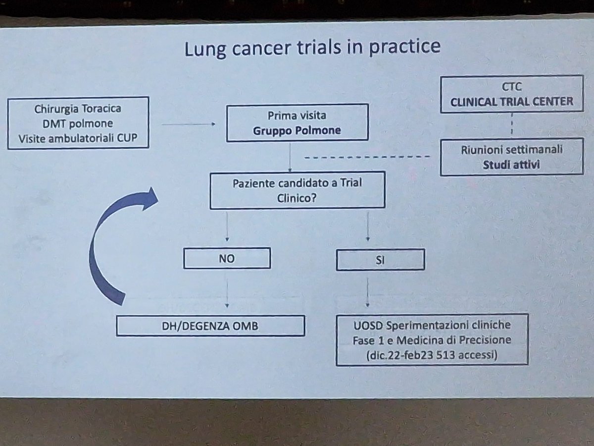 IREISGufficiale's tweet photo. #RetreatIRE #LorenzaLandi Resp. Studi di fase1 evidenzia come sia vincente la strategia integrata delle sperimentazioni cliniche per i tumori polmonari e l’accesso precoce da parte del pz anche grazie a screening come il #RISP https://t.co/2LrjIAjB7D