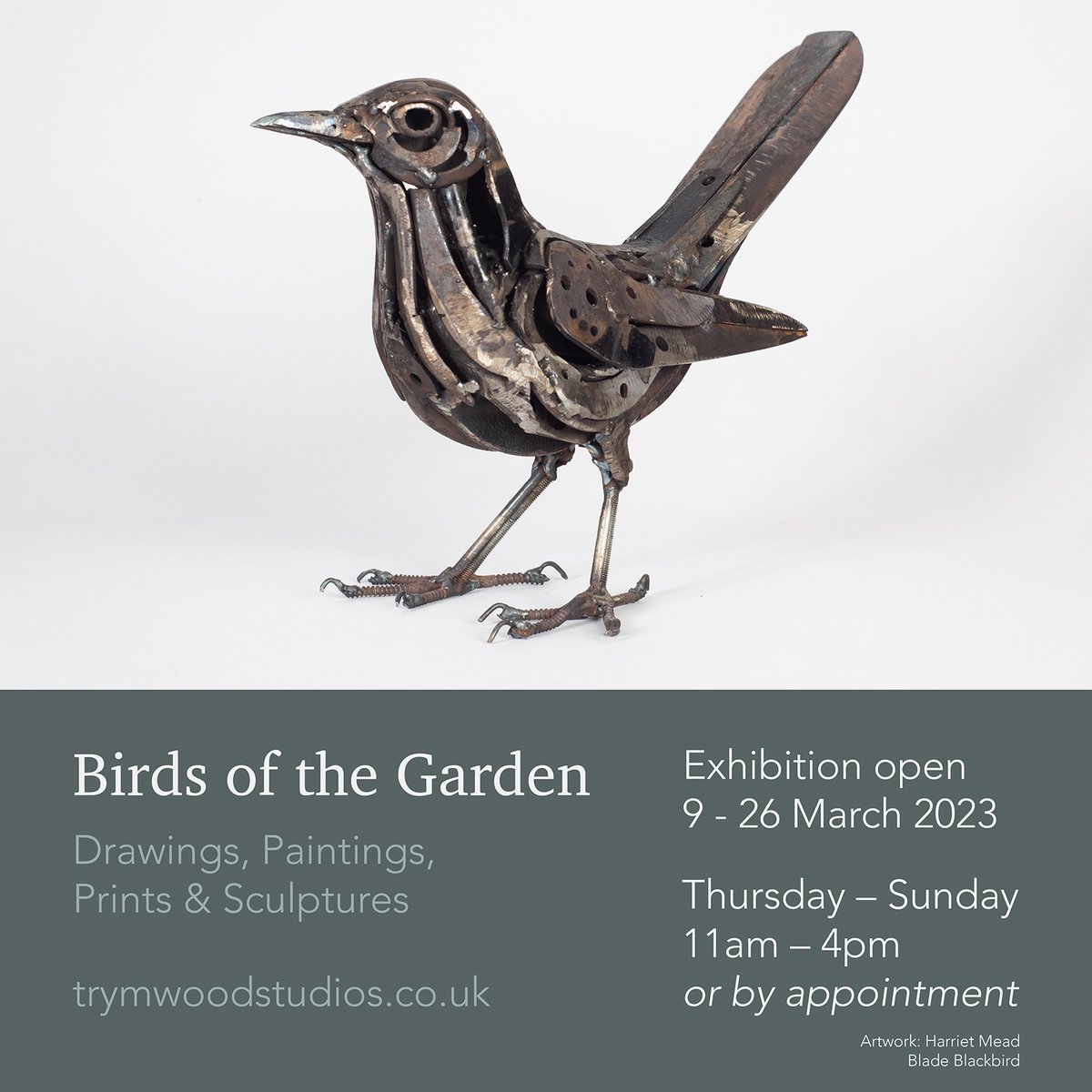The sun is out here in Bristol and Spring is definitely in the air. Lots of birdsong outside the gallery. Come and visit us in Westbury-on-Trym and enjoy the beautiful surroundings and wonderful art by some of the UK's top nature artists.