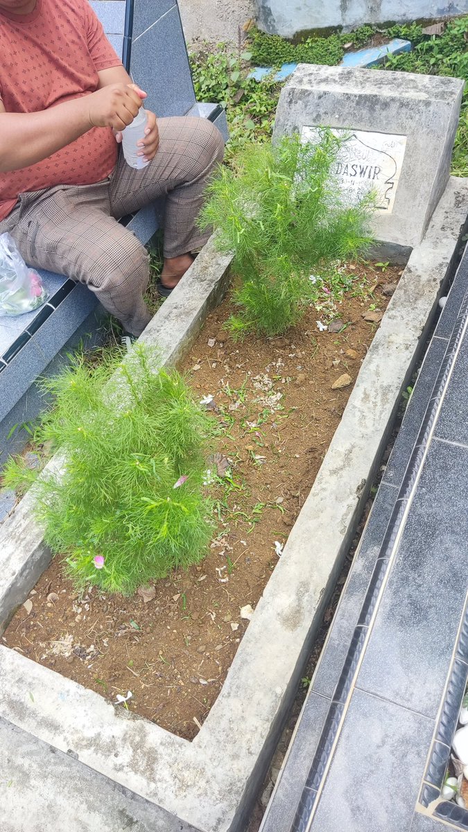 sutanmudoo's tweet photo. JANGAN DULU, aku tau, Mama pasti sangat rindu sekali dgn Papa, aku tau, mama butuh tempat cerita, tempat dia mengadu berbagi beban yg dia tanggung selama ini, Pa, hari ini hanya aku berdua yaa dengan abg yg mengunjungi Papa, maaf yaa Pa. Mama sdg istirahat Pa dan kakak yg jagain https://t.co/JLhuMbuoaV