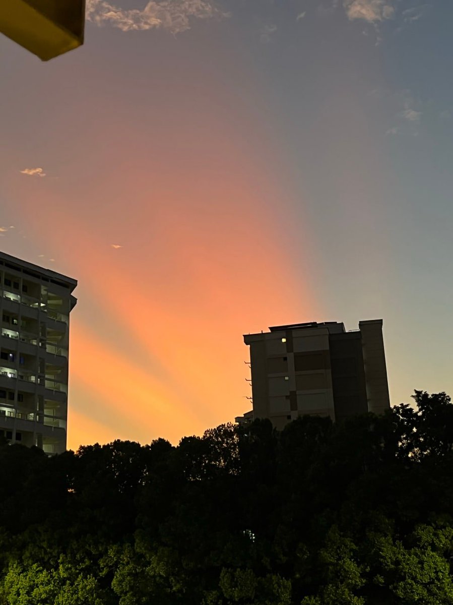 Jenny Chen (@qqeeww33333) on Twitter photo 