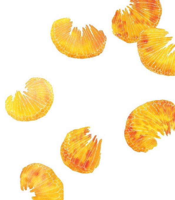 「orange theme still life」 illustration images(Latest)