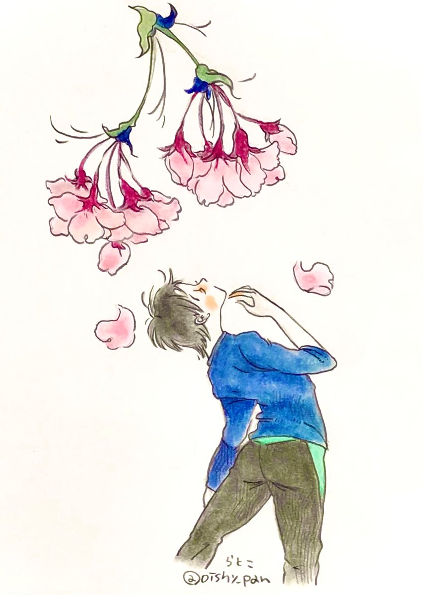 らとこ🧸 tweet media