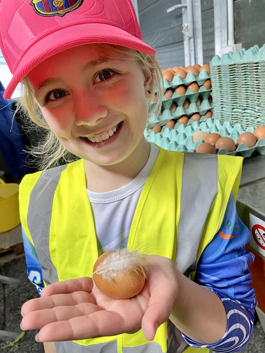 Butlers Organic Eggs tweet media