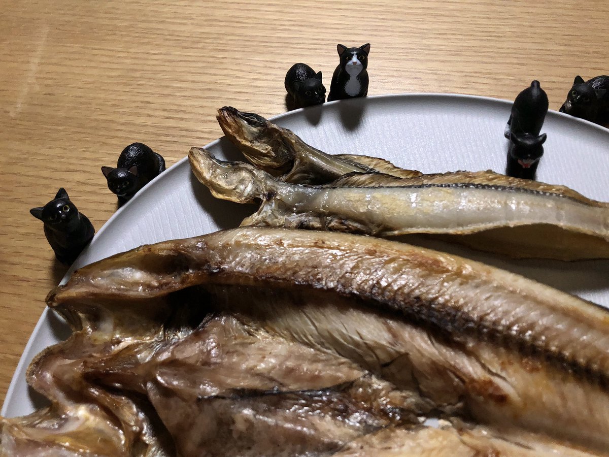 myukkgarue's tweet photo. これが富山のゲンゲとホッケか
#imato https://t.co/9LlpioUv6A