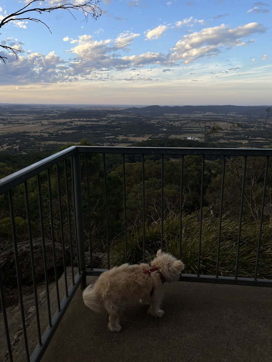 Emily Persson tweet media