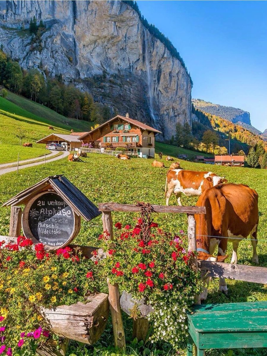 🇨🇭Fairy tale town in reality
#nature #scenery #Naturalphotography