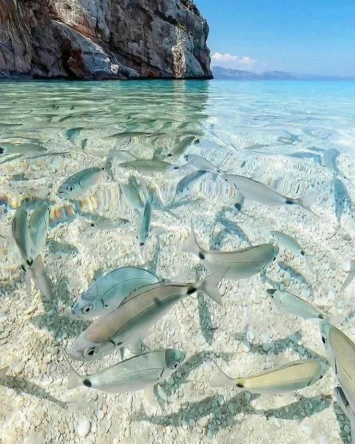 Explore Awesome Places! tweet media