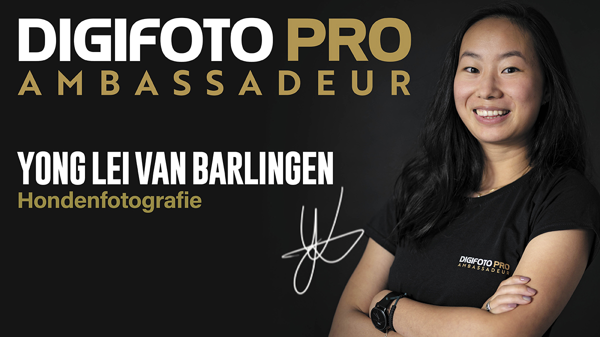 DFPro's tweet photo. Het vinden van een geschikte locatie voor (dieren)portretten: Inspiratie   Het vinden van de juiste locatie voor (portret)fotografie kan lastig zijn wanneer je niet weet waar te beginnen. Vaak zien we geschikte locaties in onze directe omgeving over het… https://t.co/FpHXwD2kEf https://t.co/lFh5TwT2DW