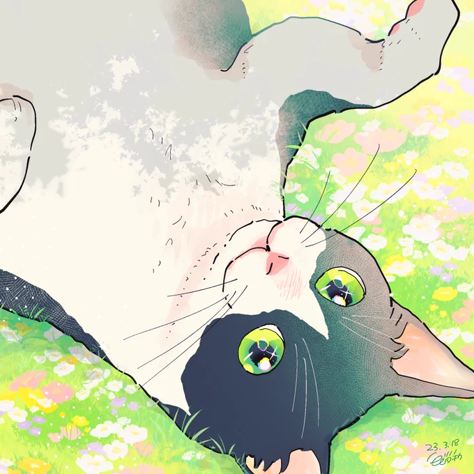 ひなたぼっこ #illustraion #イラスト 