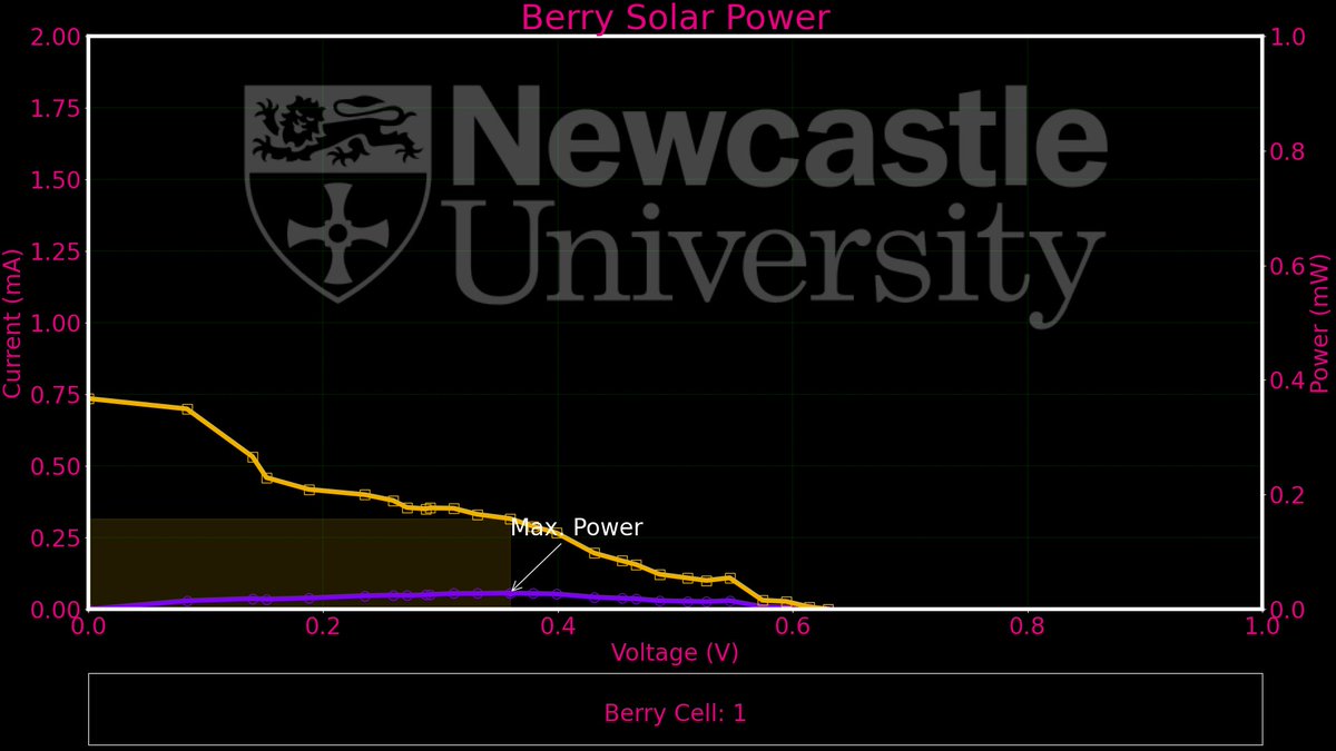 Berry Solar Cells for Berry Future tweet media