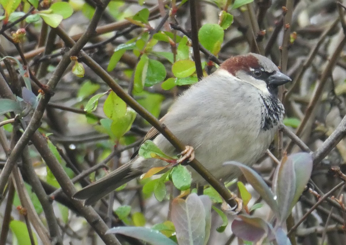 Valerie Gordon tweet media