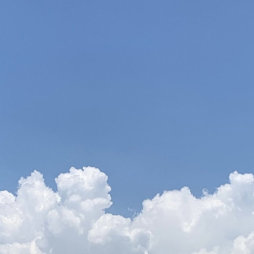 생긴거랑 다르게 애널에 진심인 애널중독녀에요
#섹트 #펨섭 #펫 #디그 #마조 #애널