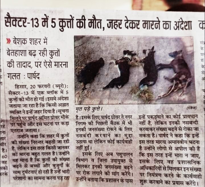 @PMOIndia Killing of Stray Dogs on Rise in India,all Govt Failed to save Indie Dogs? @SonuSood @aajtak @TOIIndiaNews @iraginikhanna @ians_india @PTI_News @ANI @divyadutta25 @DollyBindra @VishnuNDTV @ZeeNews @AparnaBose4 @RajatSharmaLive @akshaykumar @AP @BBCIndia @khabrimishra