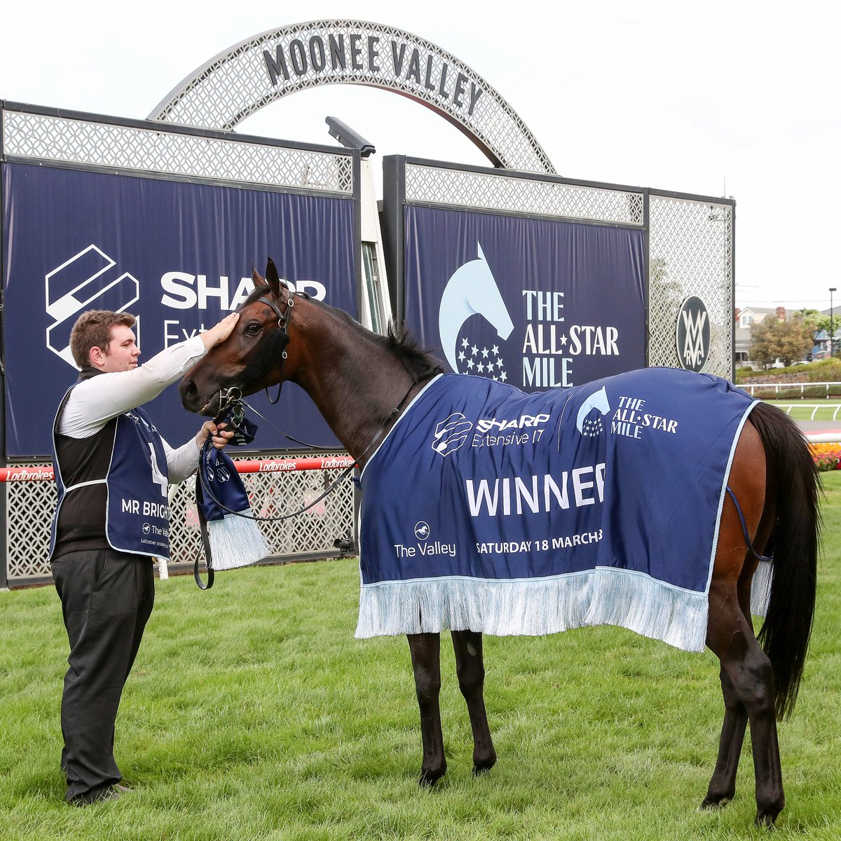Strapper Will Evans gives Mr Brightside a much deserved pat after victory in The Sharp EIT #AllStarMile!