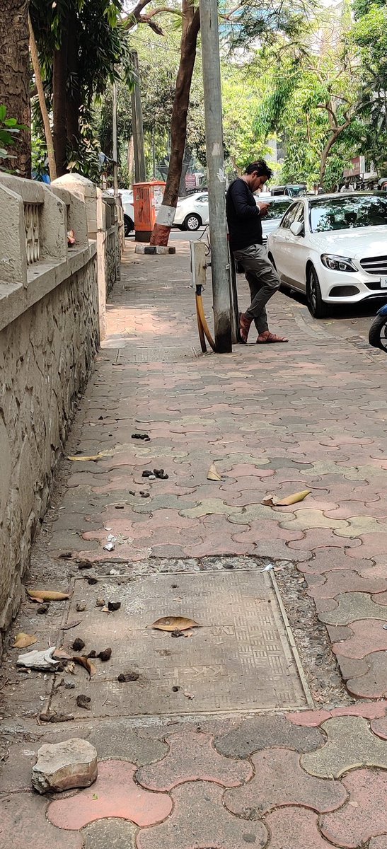 RodriguesDeanne's tweet photo. @mybmc How can we expect a cleaner Mumbai? See how dirty our footpath is, dogs litter constantly outside our gate. Why? 
Why @mybmc ? https://t.co/MhnTu7Z8qL