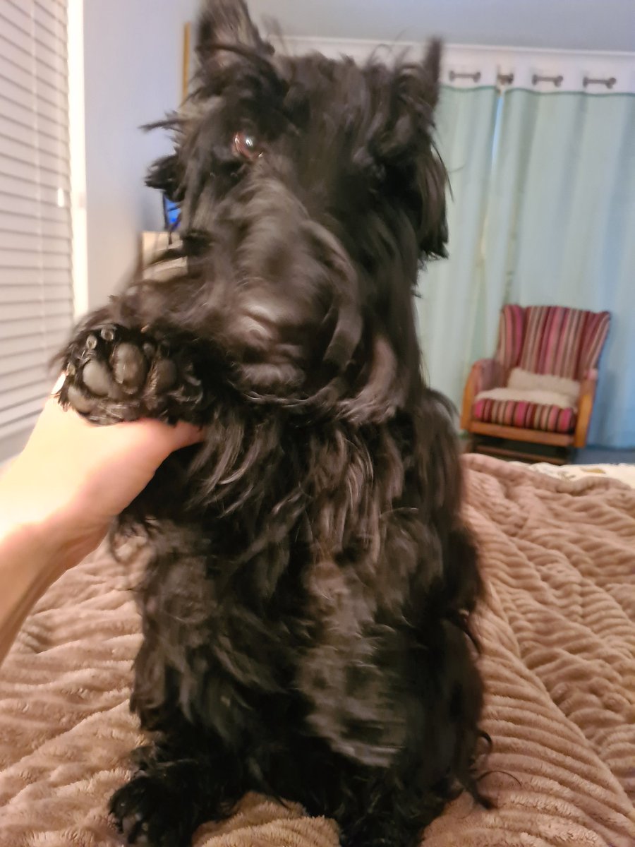 Pam Carvell, Cobe & Jordi & Louis 🌈 tweet media