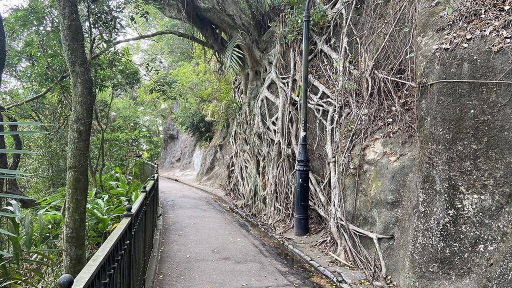KevinLThornton's tweet photo. What a gorgeous day for a walk down from the peak!!!! 

#walk #walking #exercise #workout #igfitness #igworkout #saiyingpun #thepeak #hongkong #hkfitness #hk #strava #soundcore #applewatch #iphone11 #brooksrunning #sunshine #runner #training #motivation … https://t.co/uR7WH17AJZ https://t.co/Bj8va3UUFb