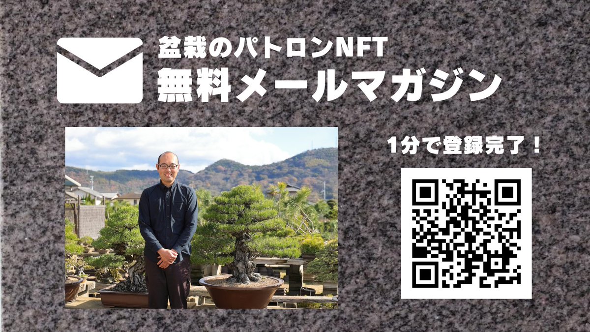 パトロンとかNFTとか分かりにくい所もありますが、要は盆栽を通じて皆でワイワイやりましょう！ってことで！😆
興味のある方はとりあえず登録して、どんなものかだけでも覗いて見てください！ 