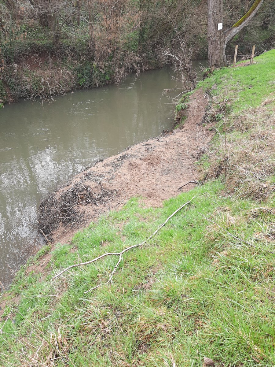 avon_angling's tweet photo. #2022 #2023 #waitingforthegrasstogrow #ataawaters https://t.co/fZGm8cdClg