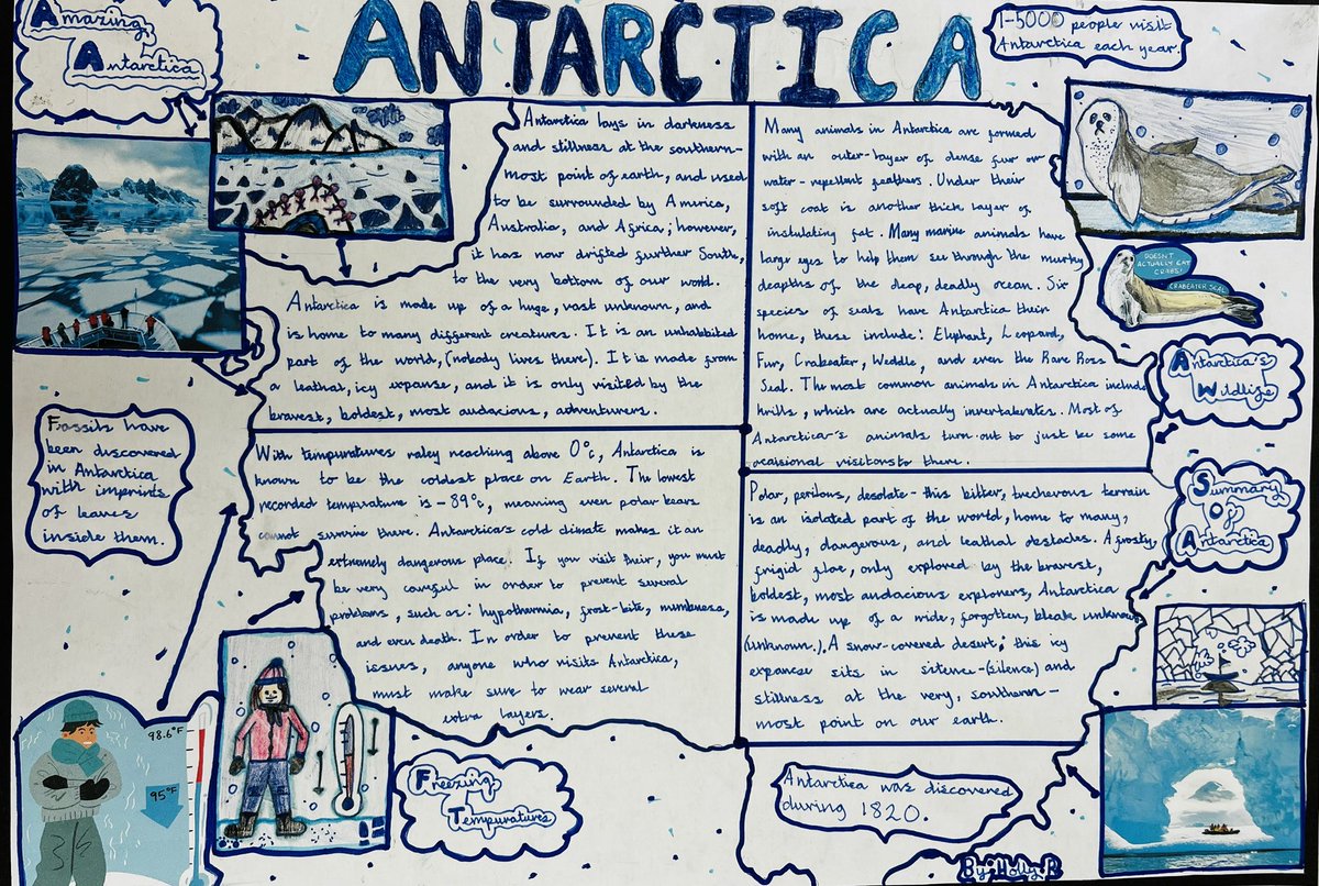 Sarah Bell tweet media