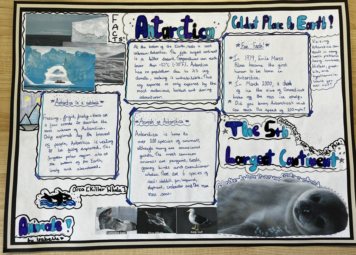 Sarah Bell tweet media