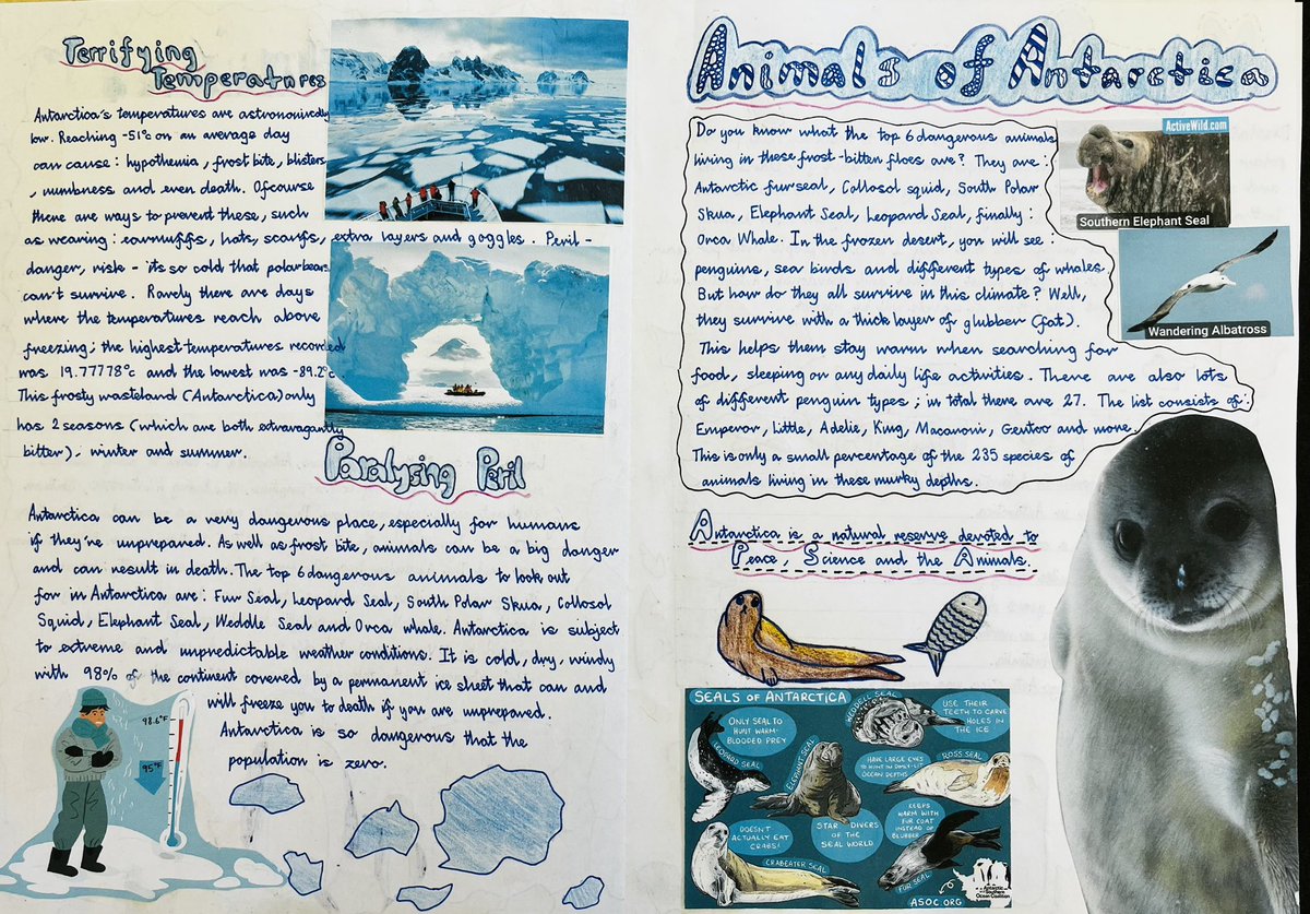 Sarah Bell tweet media