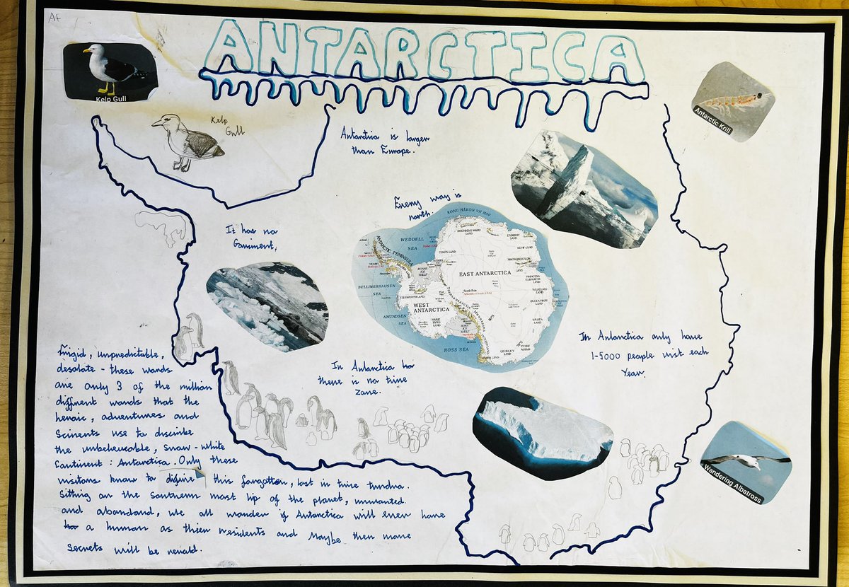 Sarah Bell tweet media