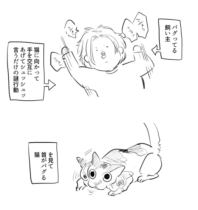 シュッシュとは 
