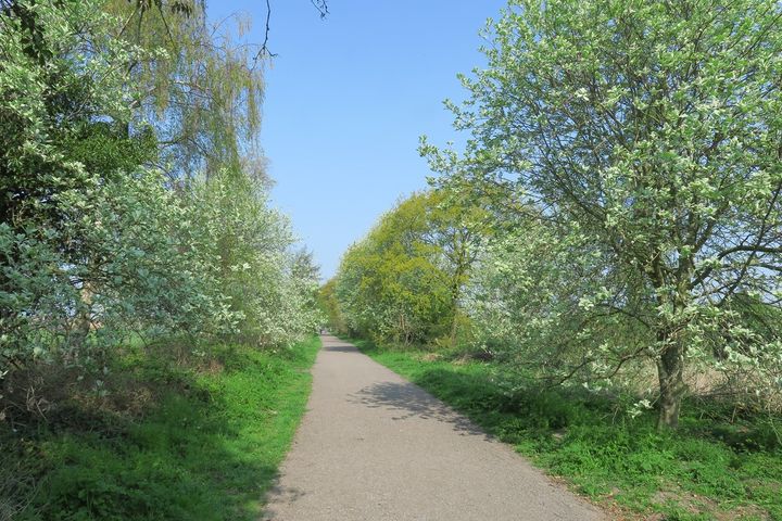 Cheshire East Countryside Rangers tweet media