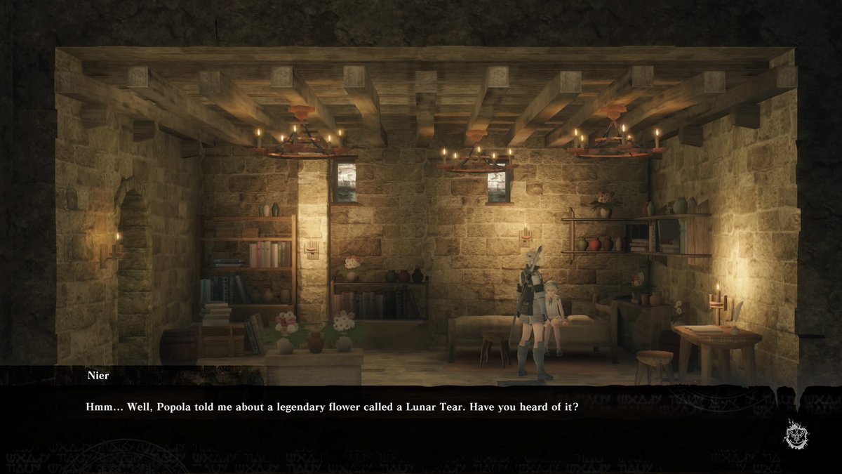 That's the enemy,Nier