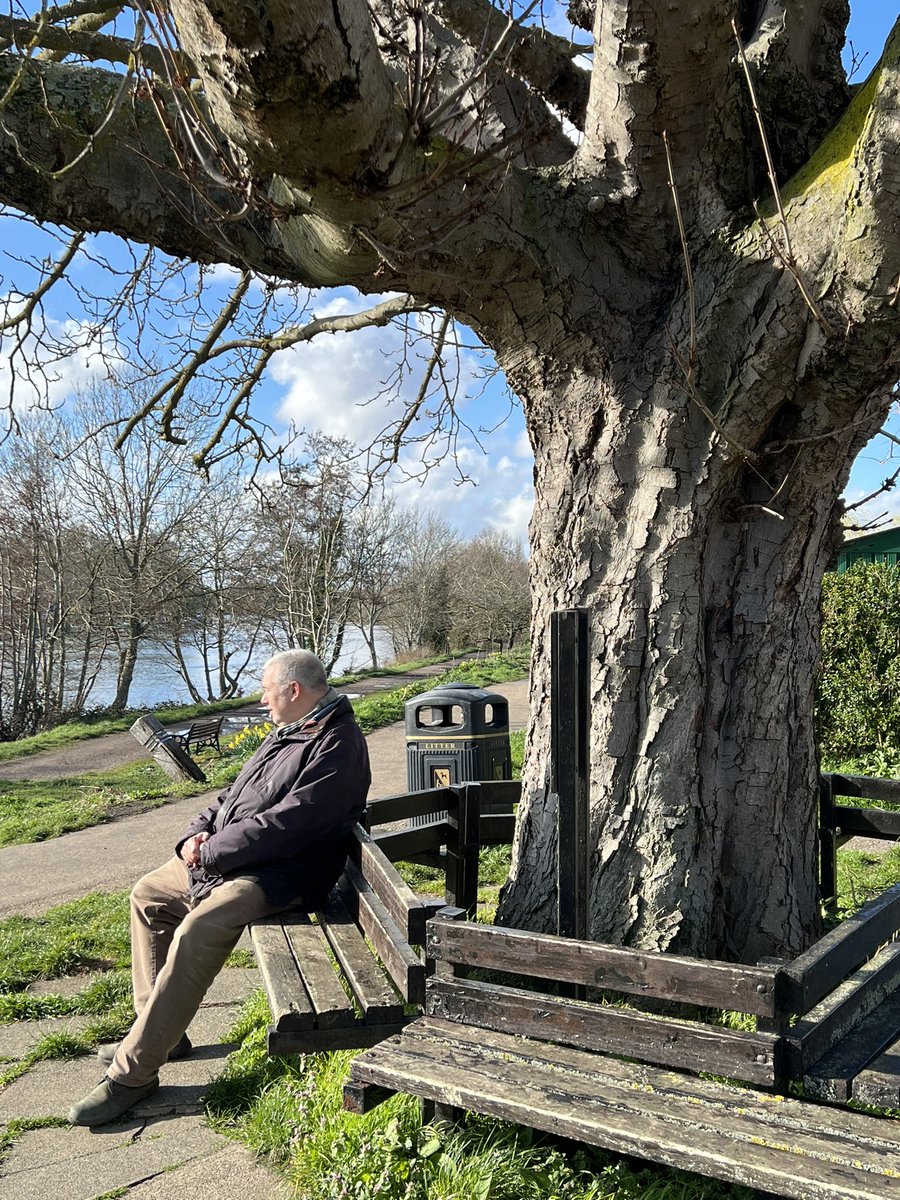 TiCLme's tweet photo. A wonderful horse chestnut @ThamesPathNT 🌳

but I wonder if anyone has a photograph of the elm it replaced ? 🤔 🤩

#HalfMileElm @RBKingston @Elms4London @AncientTreesATF @LdnMetArchives @LTOA33 @arborsmarty @Eternaltree1 @OurKingston https://t.co/1jU1qbfNvi