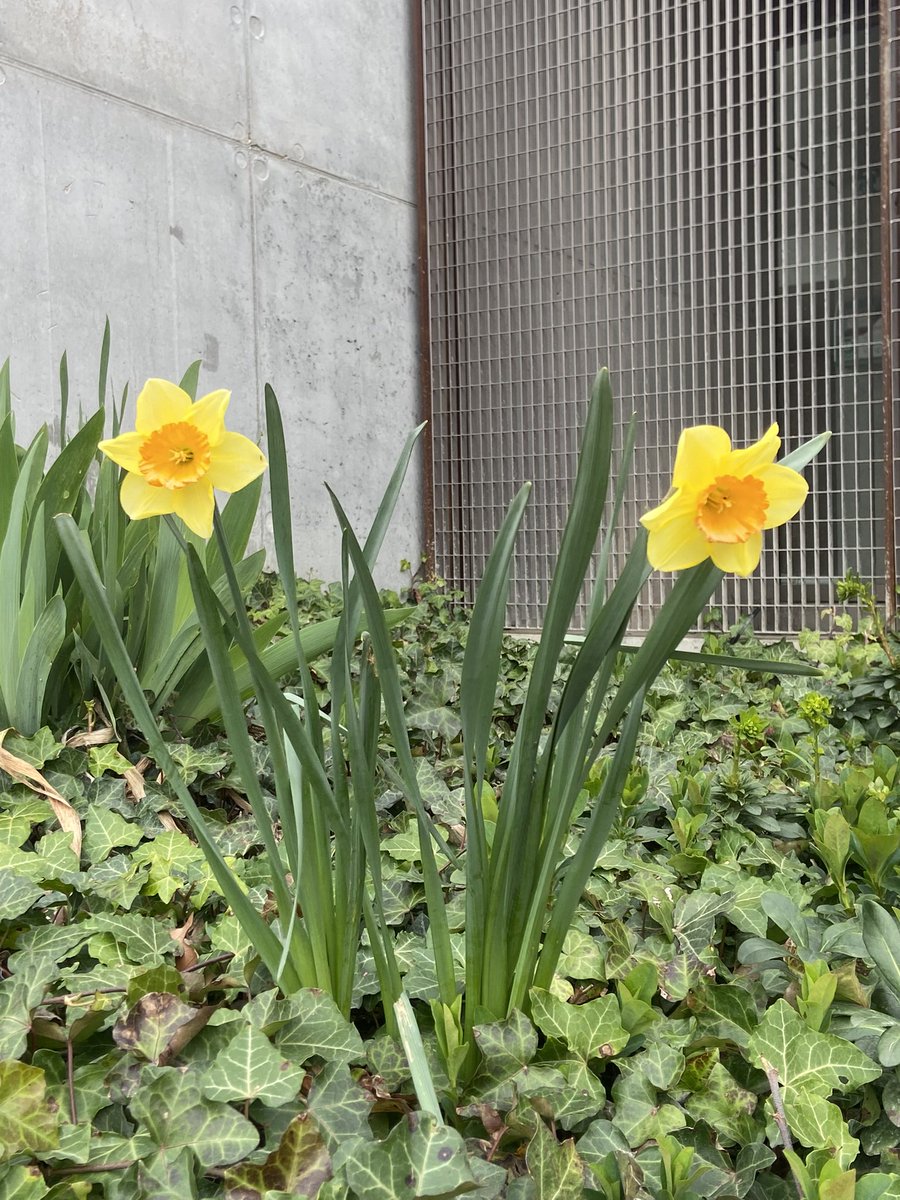 Ici-bas, le chef égoutier vous parle. tweet media