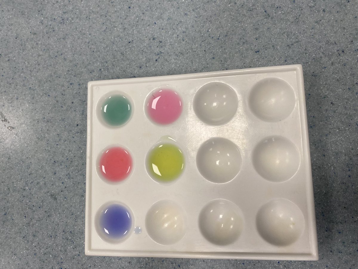NES_Science's tweet photo. Year 8 had great fun making red cabbage indicator &amp; then testing different household acids and bases! https://t.co/ZPapKfiJyL